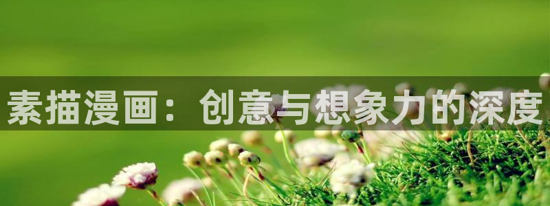 梨花绽放之恋在漫蛙里叫什么：素描漫画：创意与想象力的深度